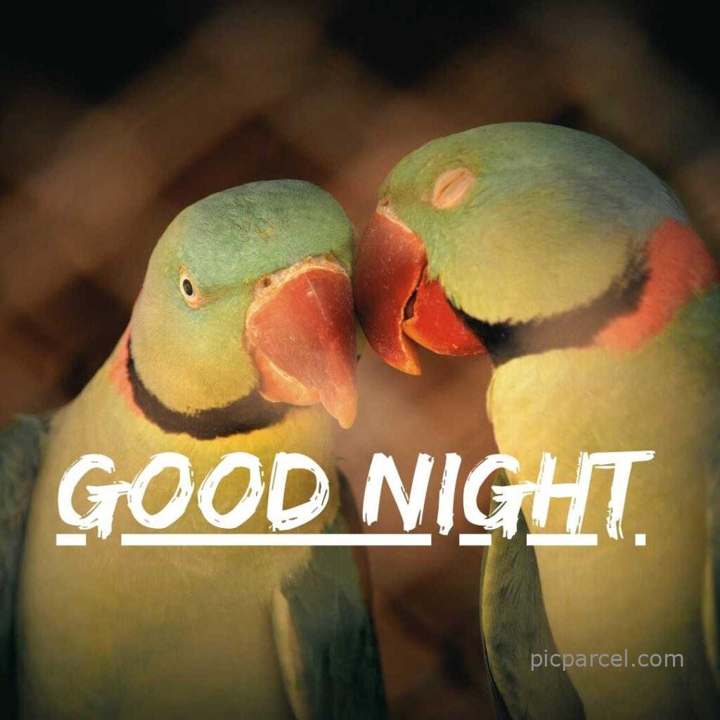 71 1 good night images with love