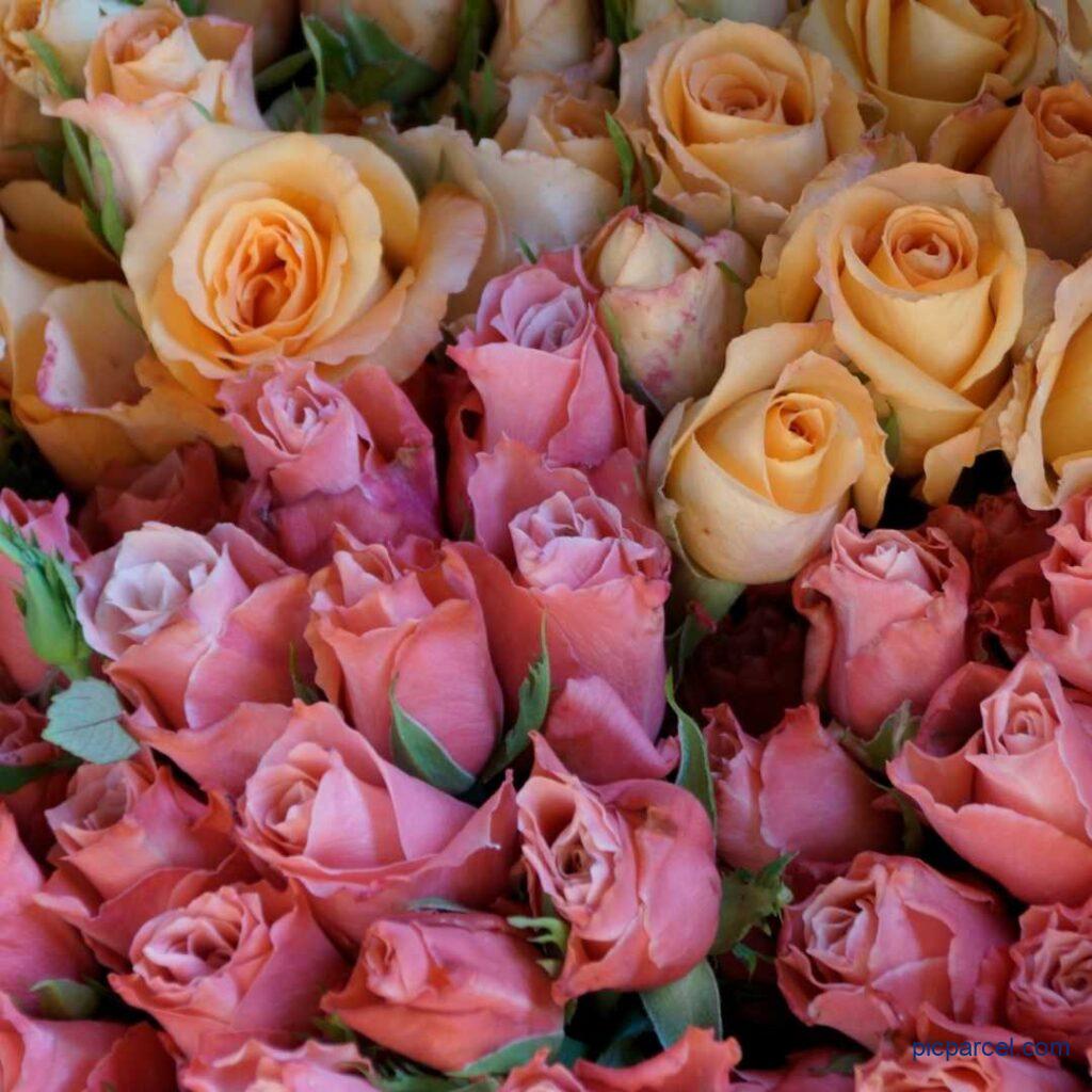 Rose flower images-A bouquet of yellow and pink color rose flowers