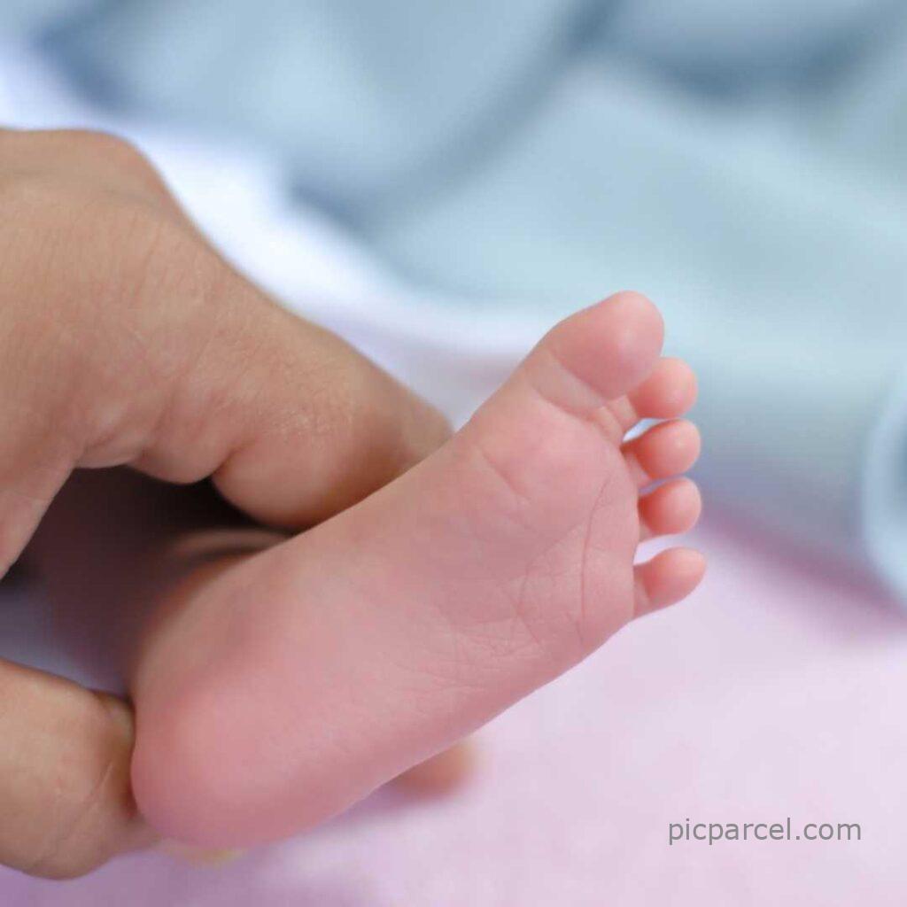 112 New Born Baby Images