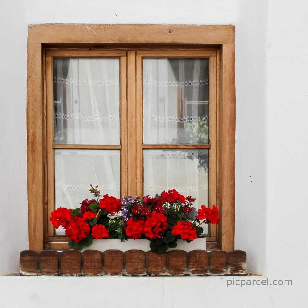 147 3 Window Design