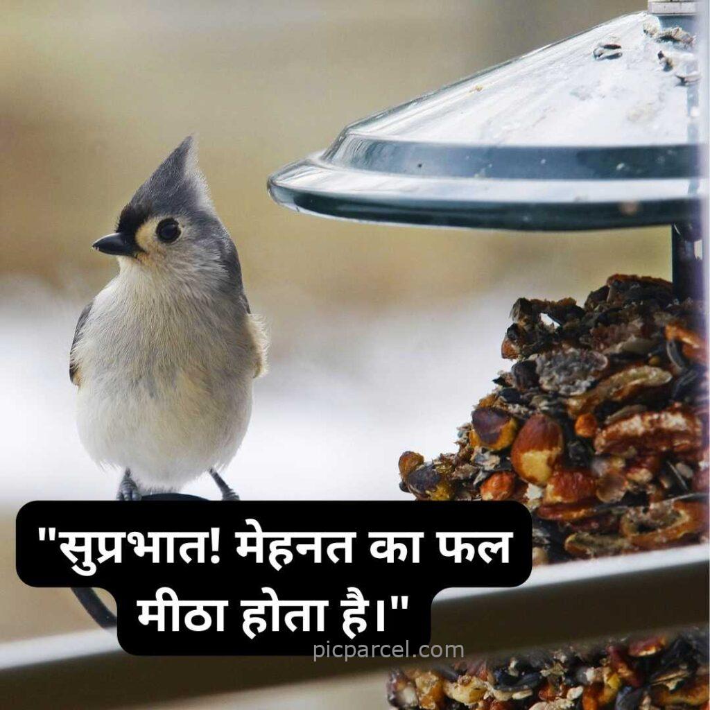 38 good morning quotes in hindi