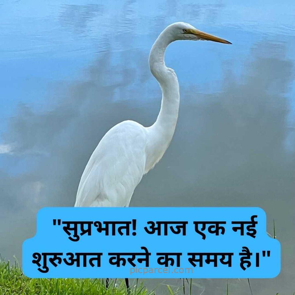 40 good morning quotes in hindi